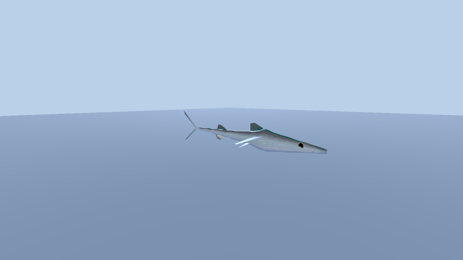 Barracuda — 1.4 m