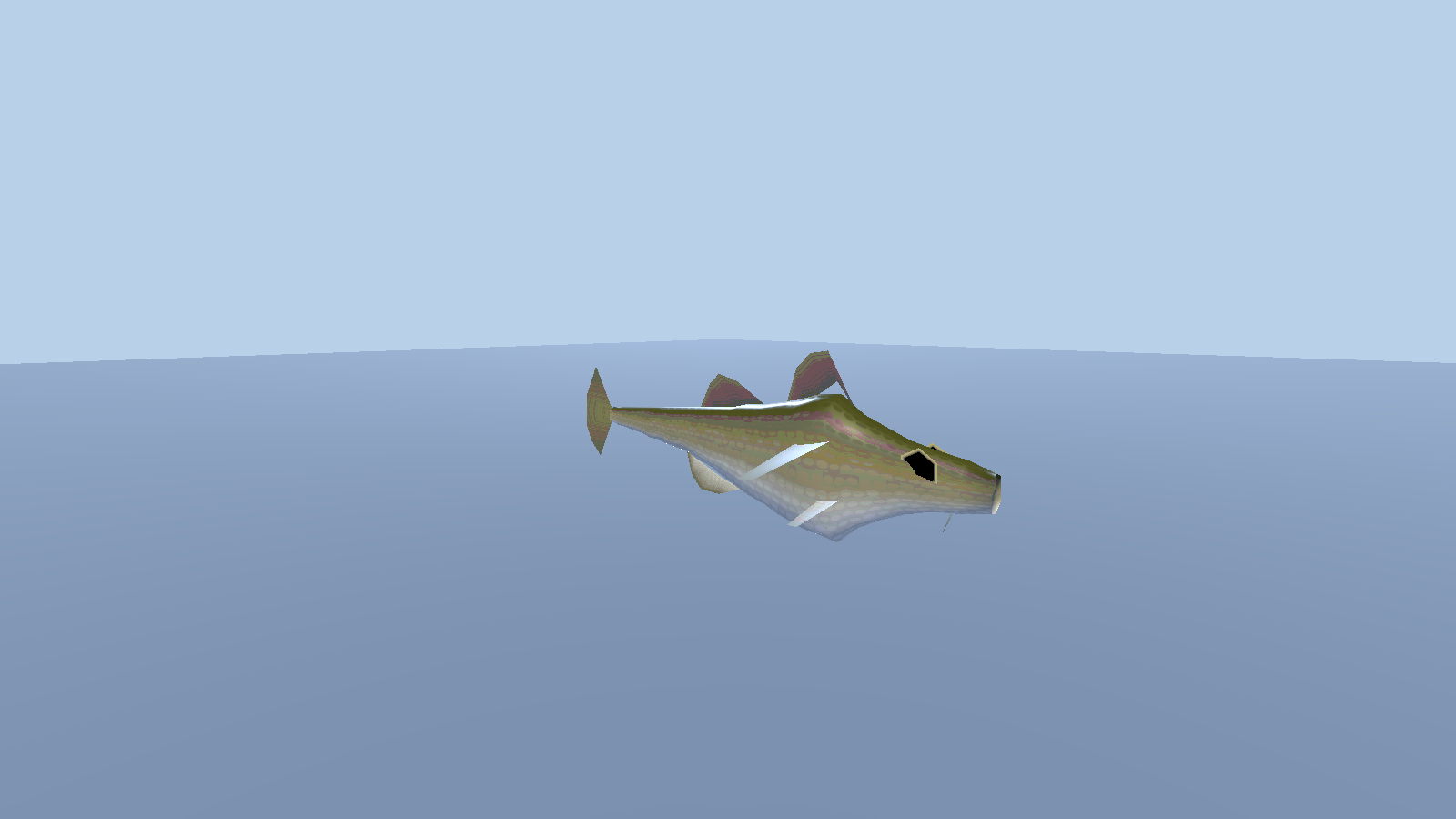 Atlantic Cod — 0.95 m