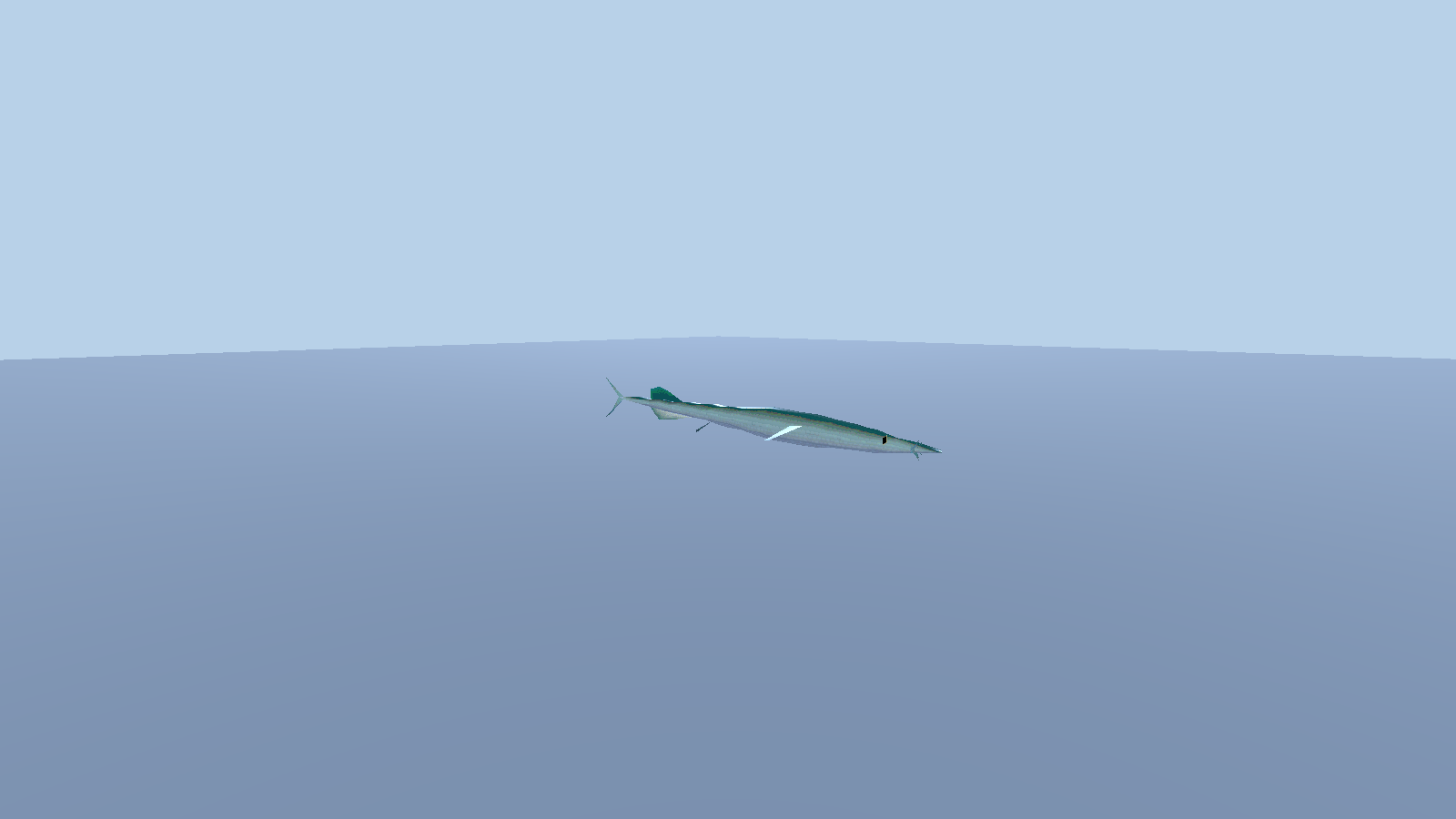 Garfish — 0.7 m