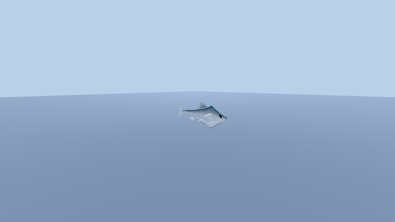 Herring — 0.28 m