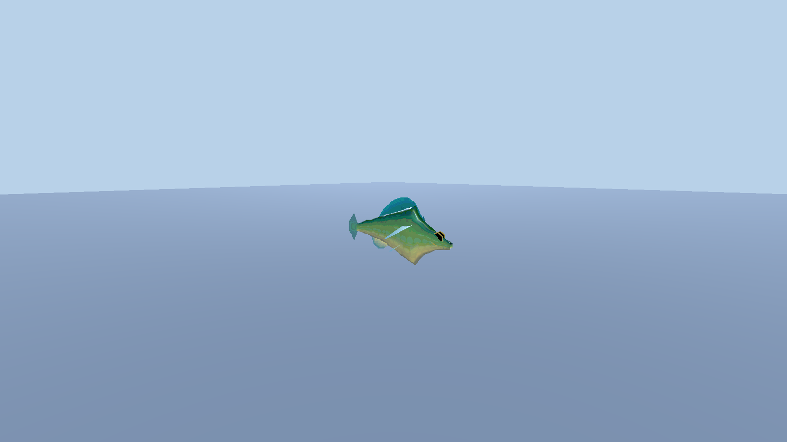 Ballan Wrasse — 0.3 m